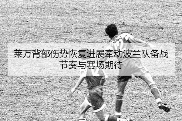 莱万背部伤势恢复进展牵动波兰队备战节奏与赛场期待